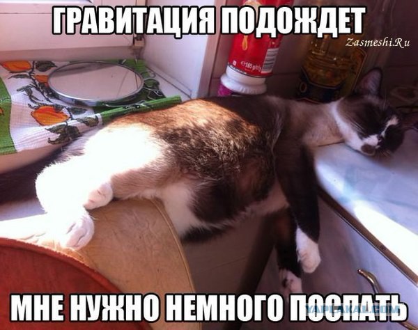 Улыбнемся над собой
