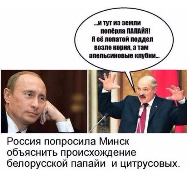 10 политических картинок