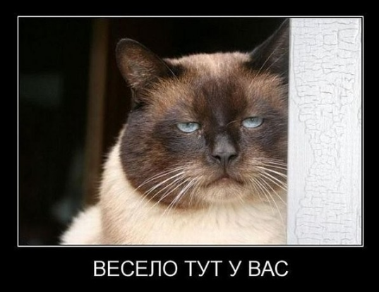 Привет из соцсетей 18+