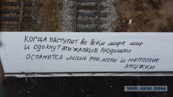 Приколы из сети