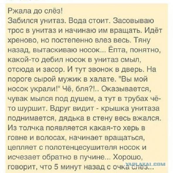 Подборка прикольных фото на среду