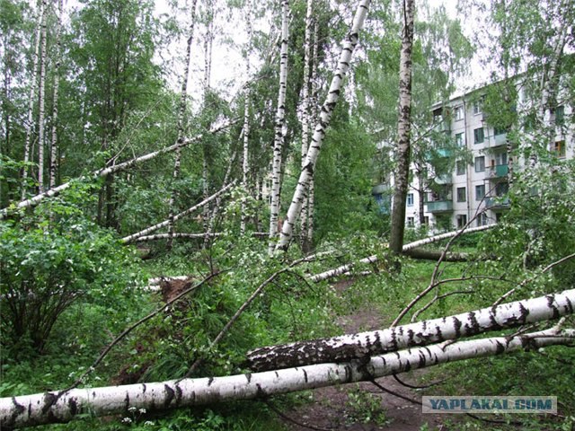 В Ярославле погулял смерч