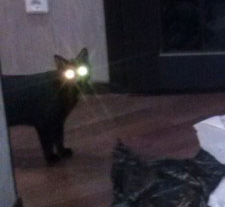 Огород круглый год