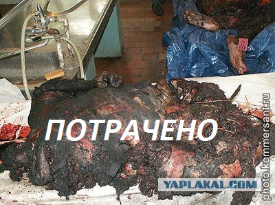 Как убрали Басаева