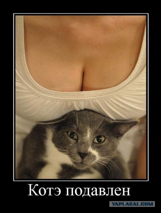 Улыбнись - демотиваторы заЯПись