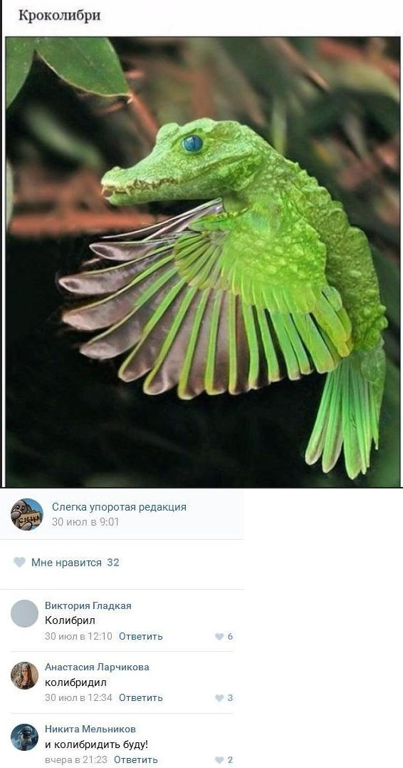 Смешные комментарии 14.08.2016