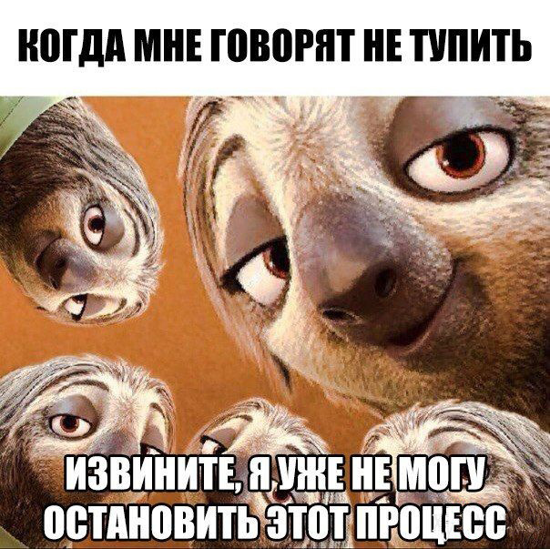 Подборка прикольных картинок на вторник