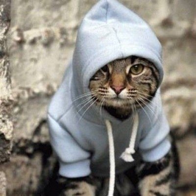 130 картинок для поднятия настроения!
