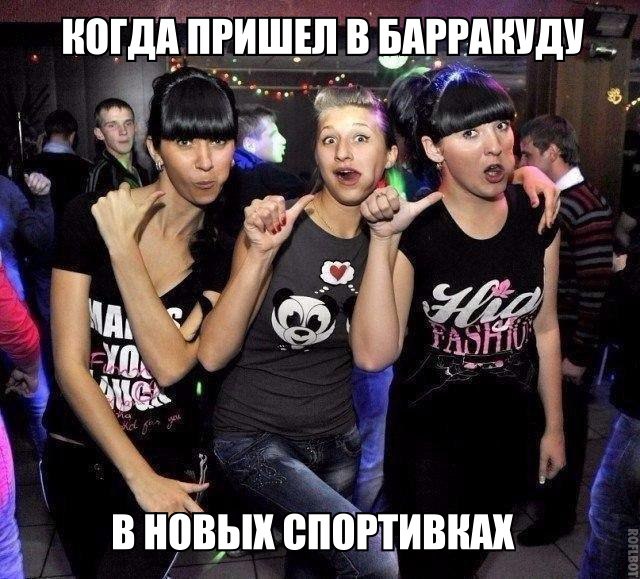 Скотсети и прочие интернеты