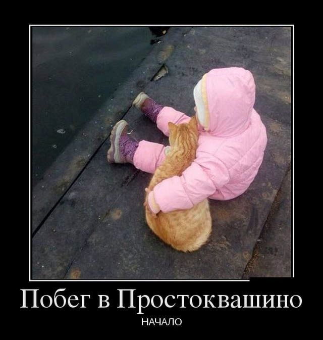 Подборка интересных и веселых картинок