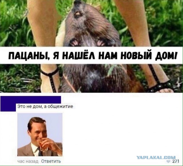 Немного картинок на вечер пятницы
