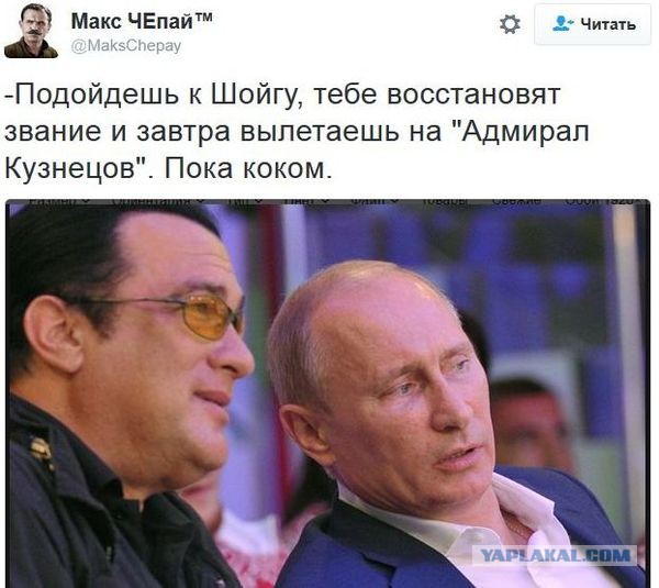 МИД России взял на работу Стивена Сигала