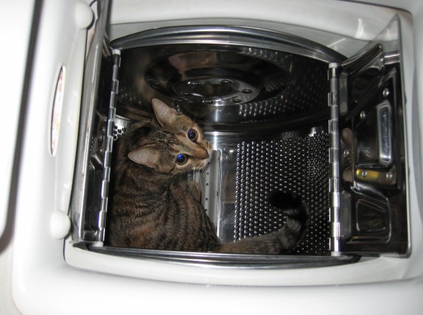 КОТовторник 13.04.2010г.