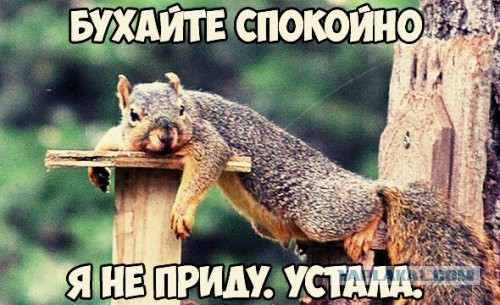 Картинки юморные и тексты