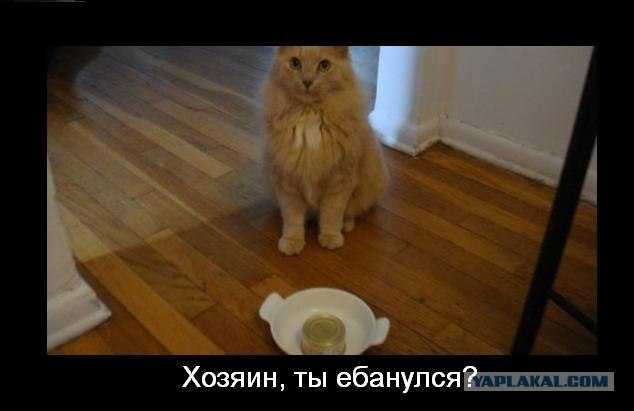 Наказание