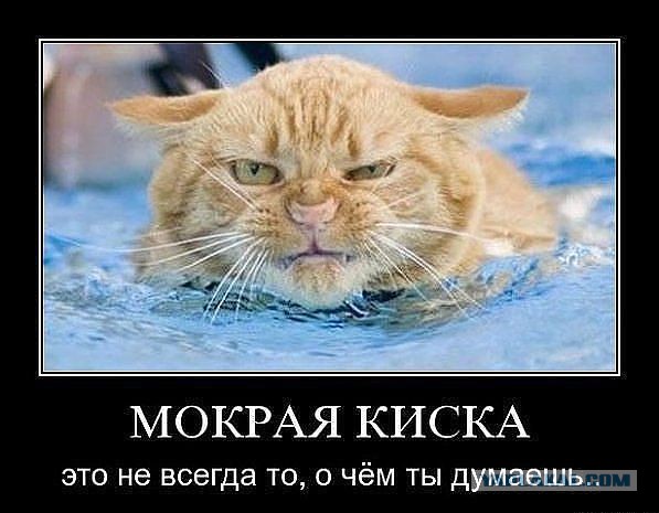 Глазки отдыхайте!