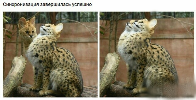 Немного картинок для настроения