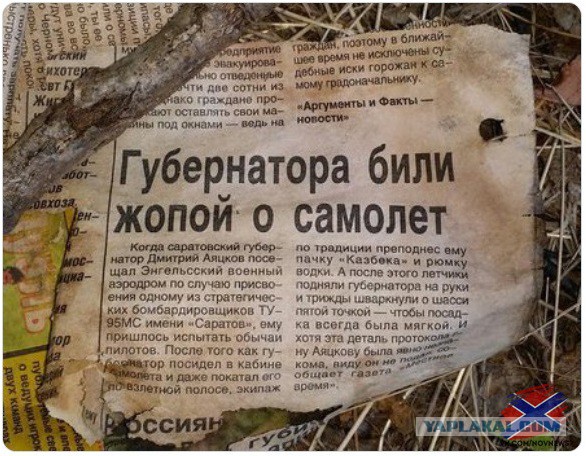 Фотограф решил узнать, что будет, если в тропическом лесу поставить зеркало