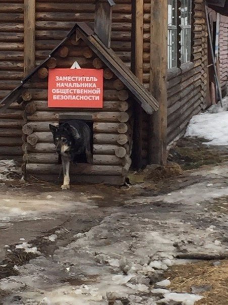 Прикольные надписи и объявления