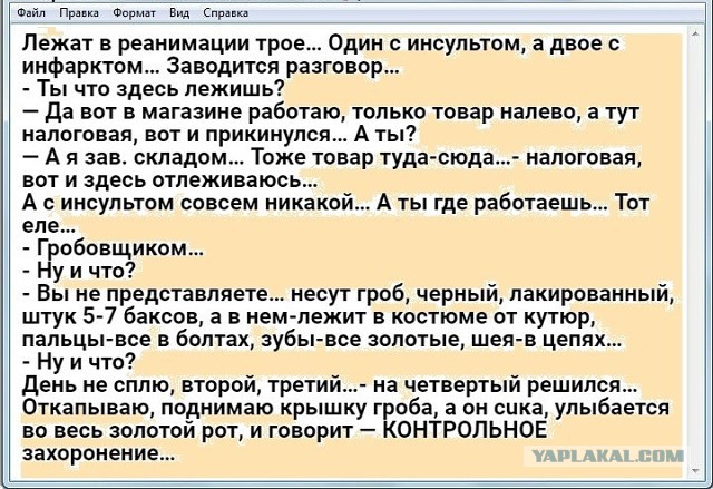 Анекдоты, соц-сети и картинки с надписями