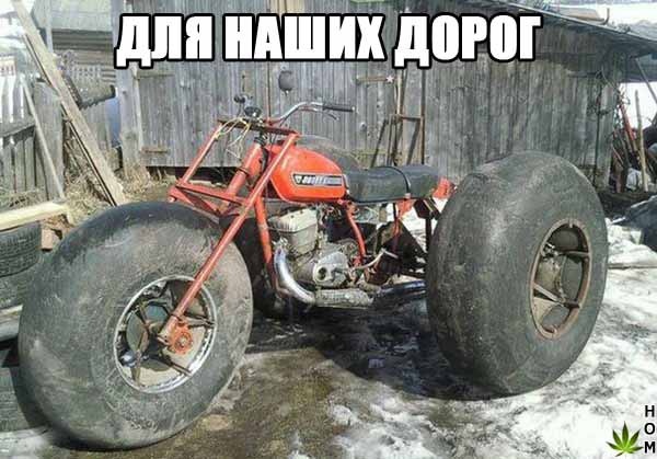 Картинки из ваших энторнетов
