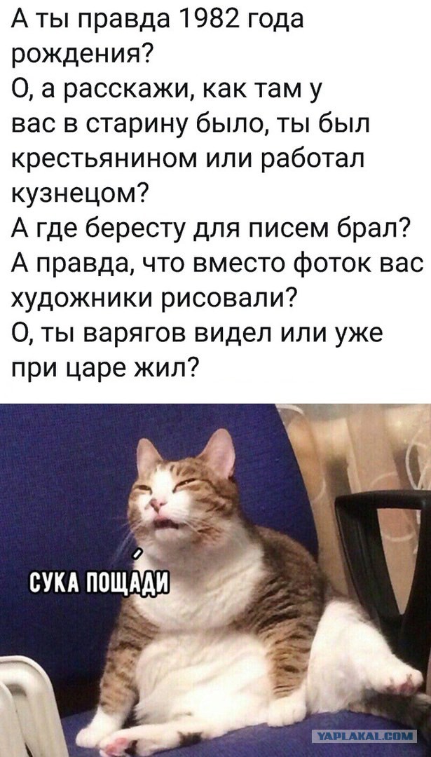 Немного картинок для настроения