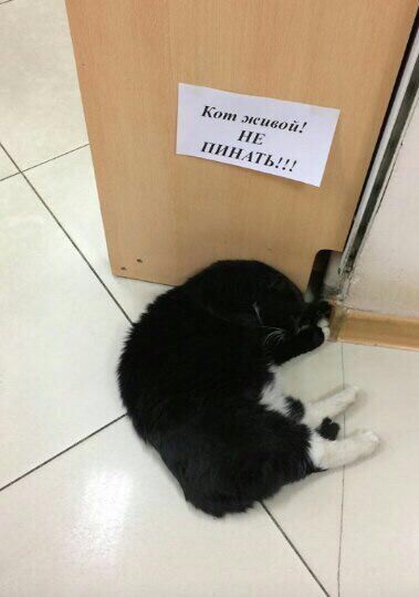 Комментарии, картинки всякие