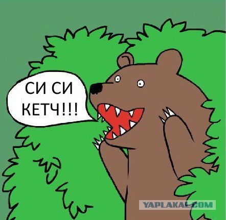 Депутат c Алтая «выписал» Си Си Кетч на юбилей жены