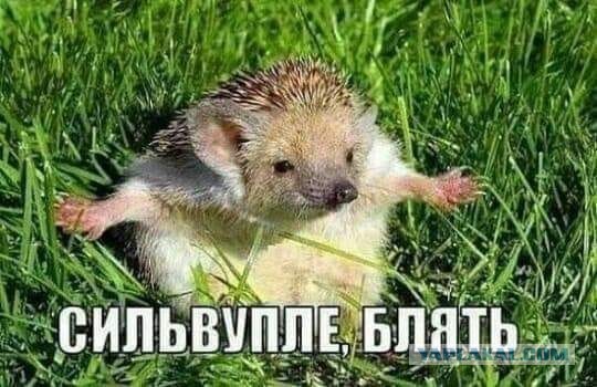 Почему пращников ценили больше, чем лучников
