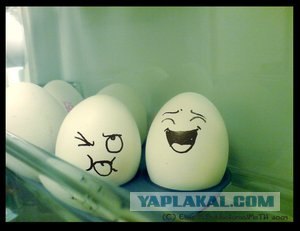 Вот, купила