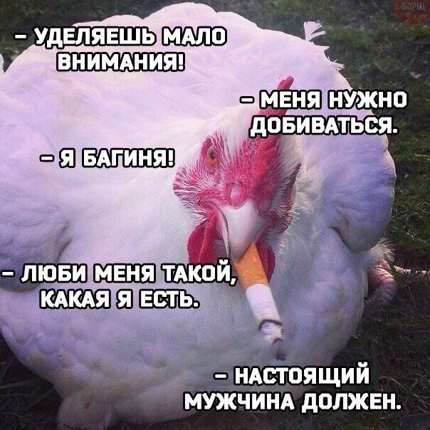Немного картинок для настроения 21.02.20