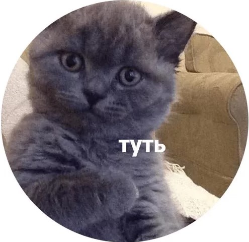 Немного картинок для настроения 10.04.20