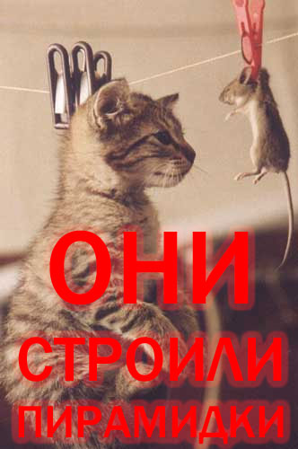 Неделя креатива на ЯПлакалъ! Школа креатива