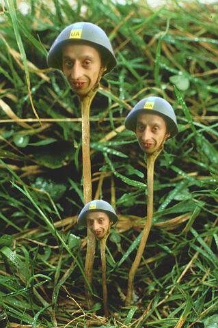 Каска