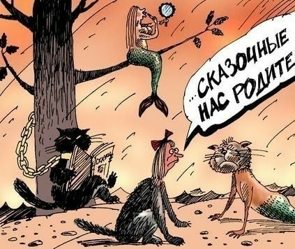 Картинки на котовторник 1.09.20