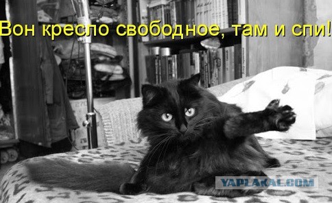 Чем привлекают женщин толстяки?