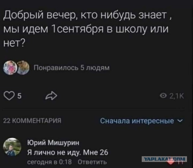Мои картинки за 2020