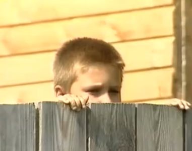 НЛО прилетело на грядку