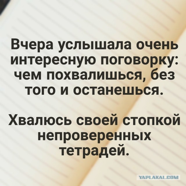 Свинегрет: картинки, надписи и прочее на 20.02.21 или №30