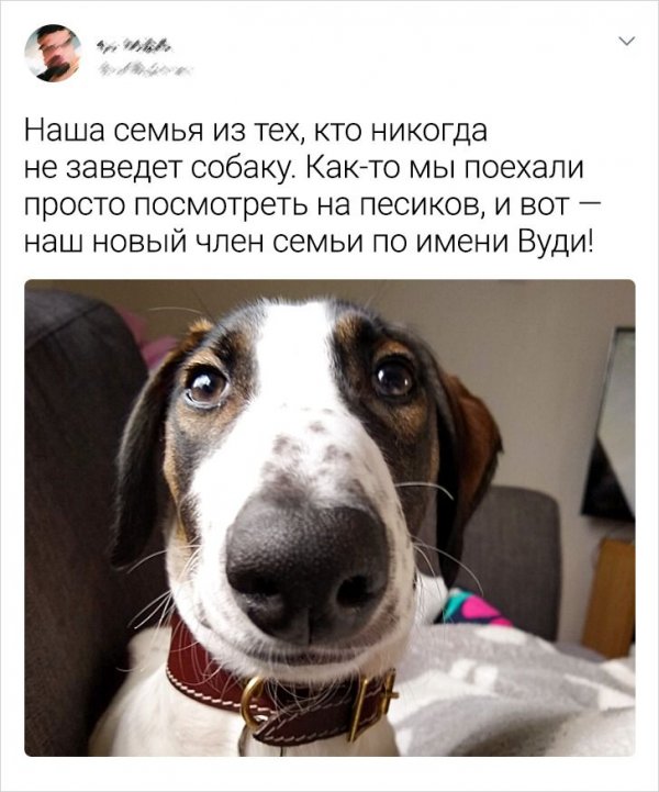 Картинки и мемы для настроения