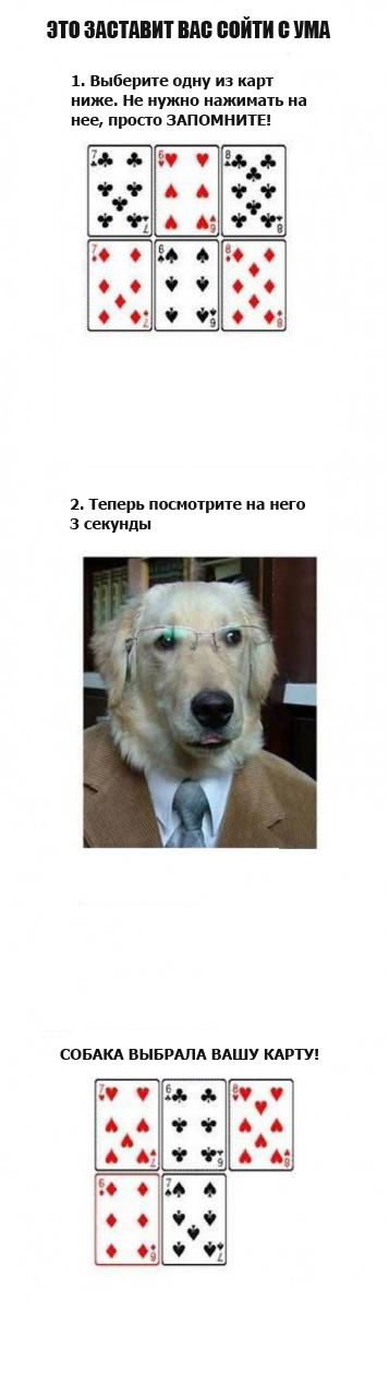 Фактор WoW