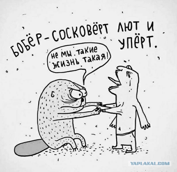 Счастливый мужчина, который живет на 25 тыс. рублей в месяц