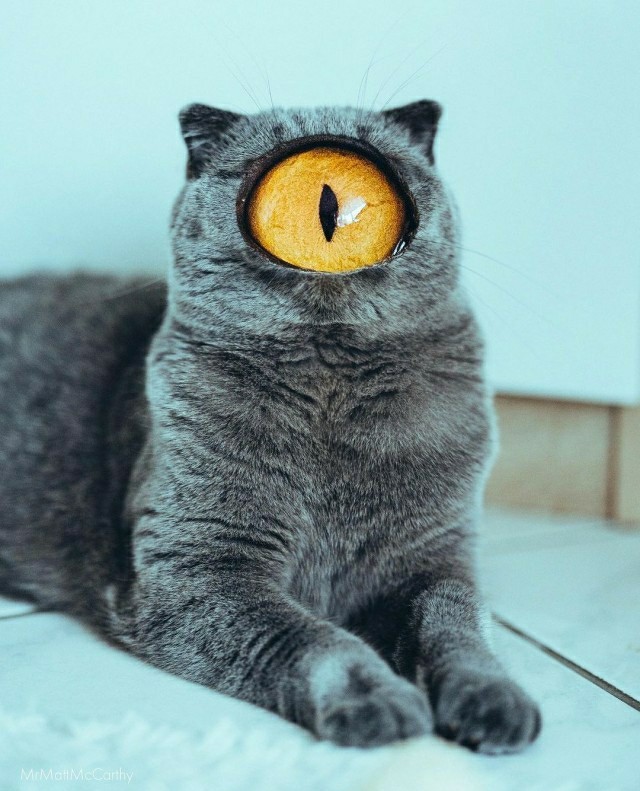 ПозитиФ Чик