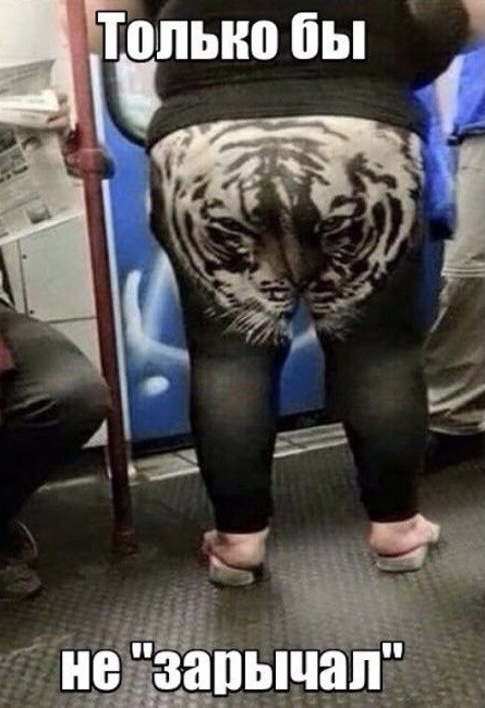 Леопёрд, твой выход
