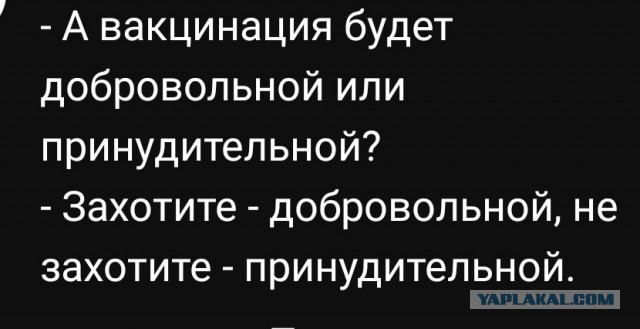 В смоленской области непривитых перестали пускать в продуктовые магазины. Фейк или правда?