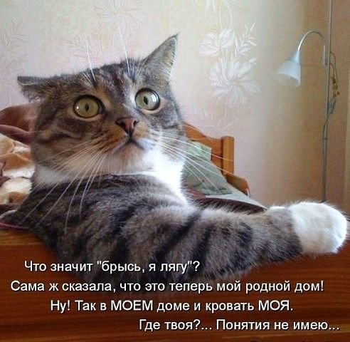 Прикольные и просто красивые картинки 27.04.2022