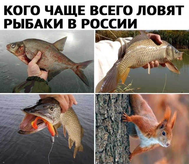Так себе картинки 03.05.22