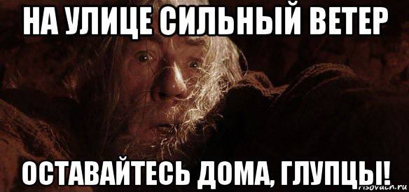 Пандемия съехавших крыш. Разновидности болезни. Россия и мир. Часть 36