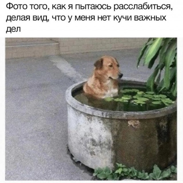 Картинки и мемы, всем хороших выходных