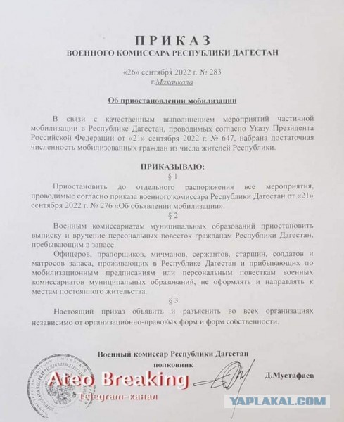 А где Хабиб, и осталные "братухи-борцухи"?!